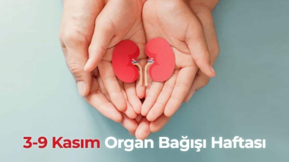3-9 Kasım Organ Bağışı Haftası